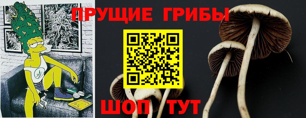 Галлюциногенные грибы ЛСД  Вход с VPN  Новоалтайск 