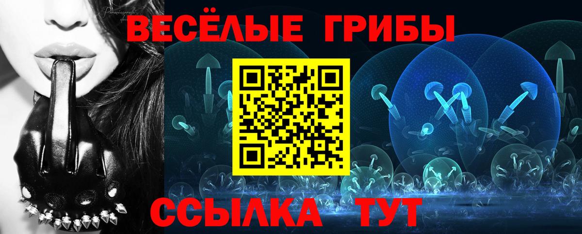 Галлюциногенные грибы мухоморы Новоалтайск